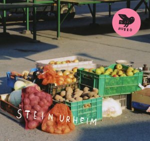 81K+ItU9E5L._SL1500_