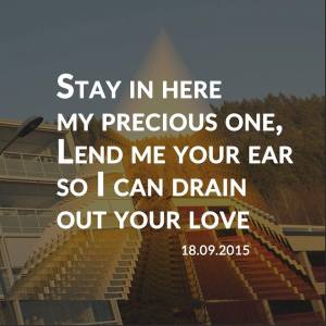 11258904_1641077179485966_6041540765313416197_n