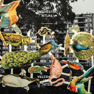 9194gmOzlPL._SL1200_