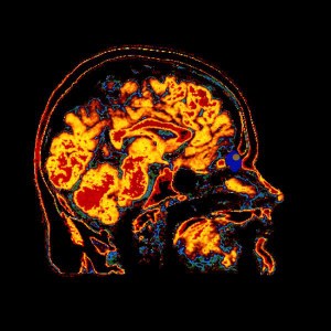 r-9072-1289433618-jpeg